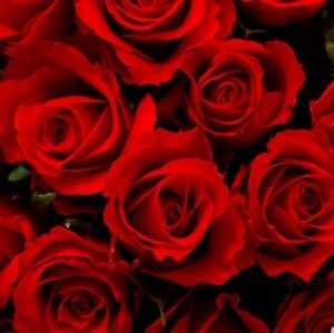 Meet your Posher, Alejandra